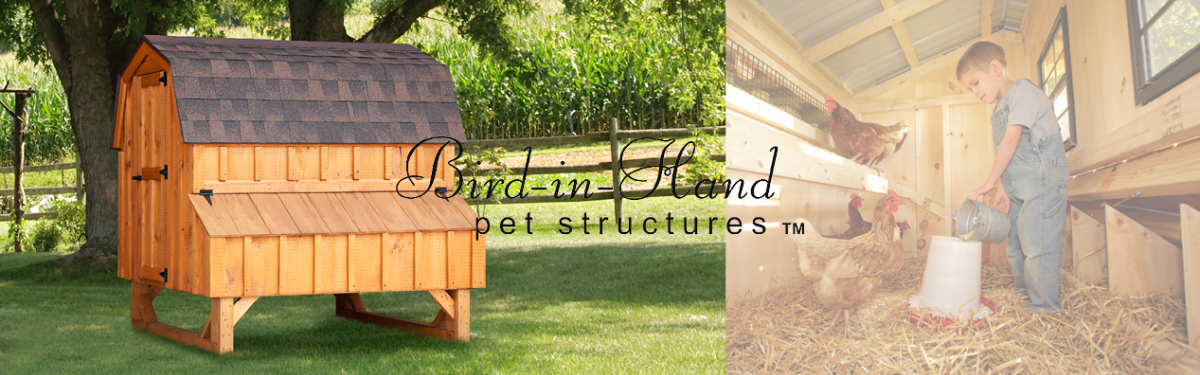 Bird In Hand Pet Structures Revolutionizes The Pet Auto Door All American Wholesalers