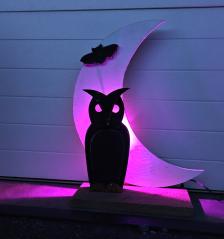 Woodland Country Creations Lightup Owl & Moon