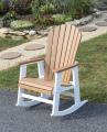 Stoney Ridge Shop Poly Rocking Chair