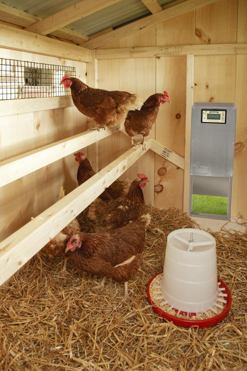 Bird-in-Hand Pet Structures Revolutionizes the Pet Auto Door